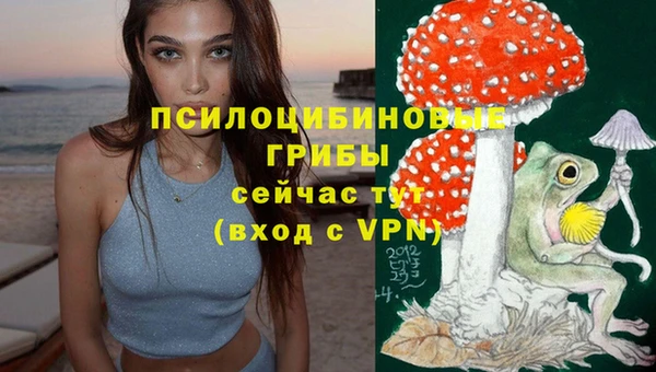 ПСИЛОЦИБИНОВЫЕ ГРИБЫ Балабаново