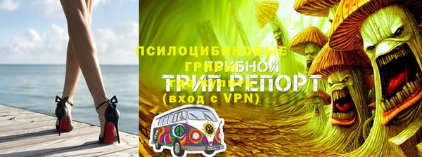 ПСИЛОЦИБИНОВЫЕ ГРИБЫ Балабаново