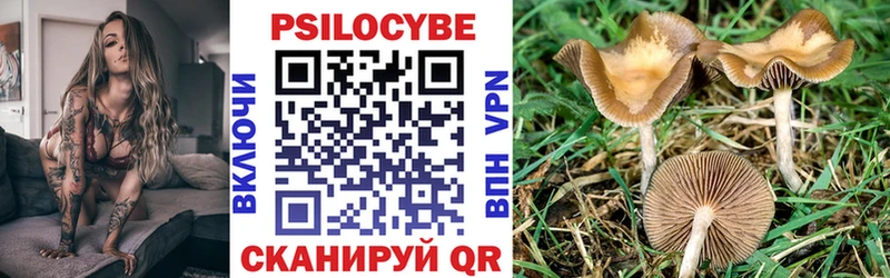 Псилоцибиновые грибы мухоморы  мега ссылки  Бобров 